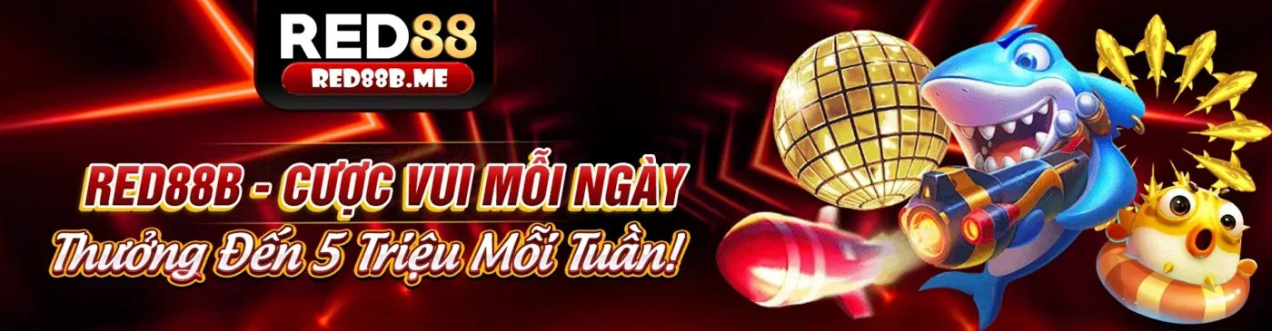 Hình ảnh minh họa tuân thủ GDPR của kf94 link vào
